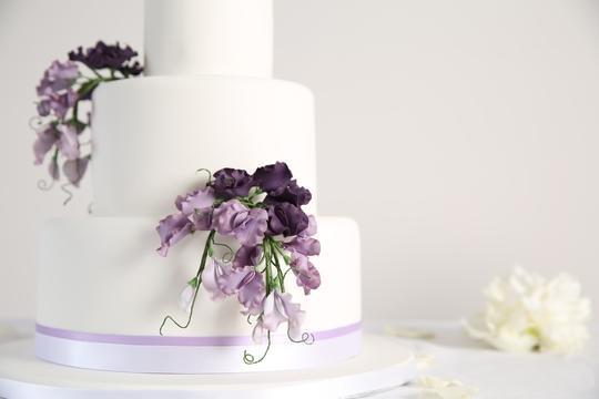 Associates – Wedding Cakes and More » Visual Masterworks – Professional  Photography